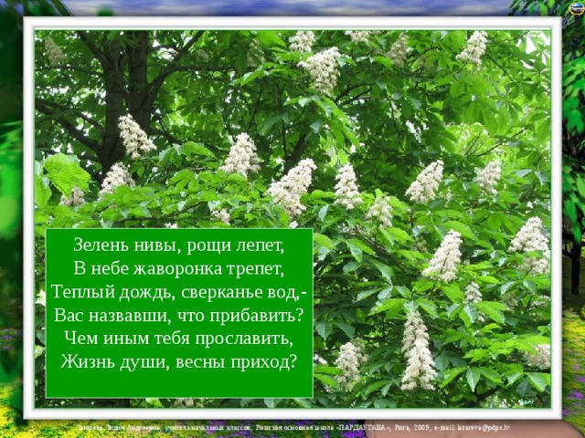 Зелень нивы, рощи лепет,  В небе жаворонка трепет,  Теплый дождь, сверканье вод,-  Вас назвавши, что прибавить?  Чем иным тебя прославить,  Жизнь души, весны приход?    
