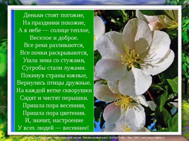 Деньки стоят погожие,  На праздники похожие,  А в небе — солнце теплое,  Веселое и доброе.  Все реки разливаются,  Все почки раскрываются,  Ушла зима со стужами,  Сугробы стали лужами.  Покинув страны южные,  Вернулись птицы дружные.  На каждой ветке скворушки  Сидят и чистят перышки.  Пришла пора весенняя,  Пришла пора цветения.  И, значит, настроение  У всех людей — весеннее! 