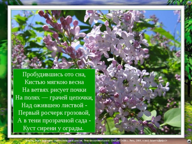Пробудившись ото сна,  Кистью мягкою весна  На ветвях рисует почки  На полях — грачей цепочки,  Над ожившею листвой -  Первый росчерк грозовой,  А в тени прозрачной сада -  Куст сирени у ограды. 