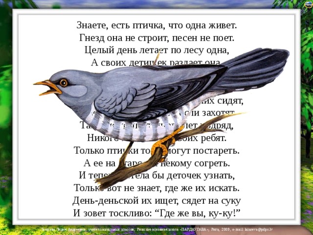 Знаете, есть птичка, что одна живет.  Гнезд она не строит, песен не поет.  Целый день летает по лесу одна,  А своих детишек раздает она.  - Не нужны мне дети, вот что вам скажу,  Я в чужие гнезда яйца подложу.  Глупенькие птички пусть на них сидят,  А потом пусть кормят, если захотят.  Так и поступает много лет подряд,  Никого не знает из своих ребят.  Только птички тоже могут постареть.  А ее на старости некому согреть.  И теперь хотела бы деточек узнать,  Только вот не знает, где же их искать.  День-деньской их ищет, сядет на суку  И зовет тоскливо: “Где же вы, ку-ку!” 