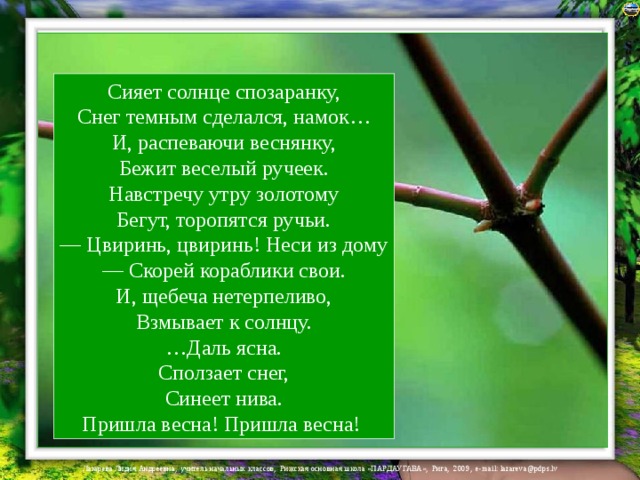 Сияет солнце спозаранку,  Снег темным сделался, намок…  И, распеваючи веснянку,  Бежит веселый ручеек.  Навстречу утру золотому  Бегут, торопятся ручьи.  — Цвиринь, цвиринь! Неси из дому  — Скорей кораблики свои.  И, щебеча нетерпеливо,  Взмывает к солнцу.  …Даль ясна.  Сползает снег,  Синеет нива.  Пришла весна! Пришла весна! 