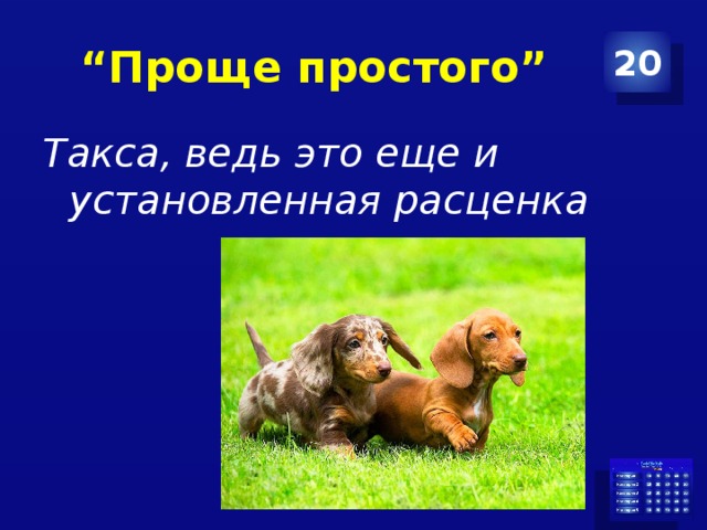 “ Проще простого” 20 Такса, ведь это еще и установленная расценка 