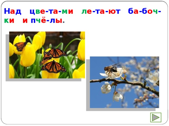Н а д ц в е -т а - м и  л е -т а - ю т б а -б о ч - к и  и п ч ё -л ы . 