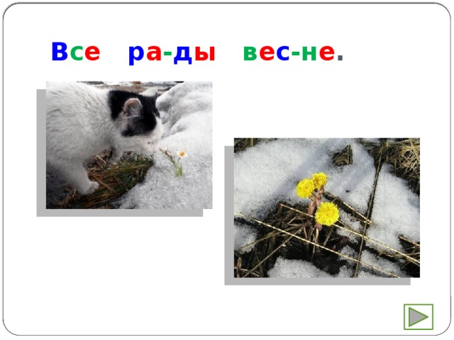 В с е  р а - д ы в е с -н е . 