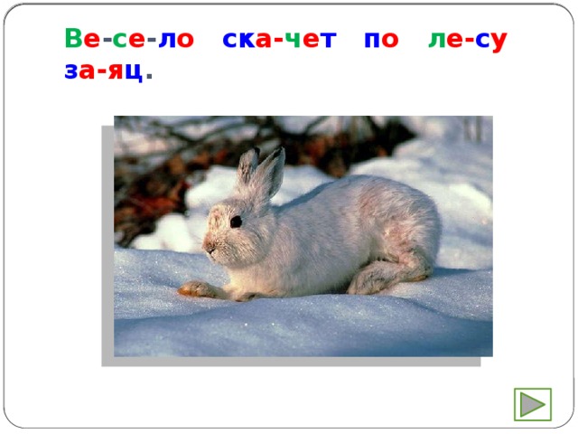 В е - с е - л о  ск а- ч е т  п о л е- с у з а-я ц . 