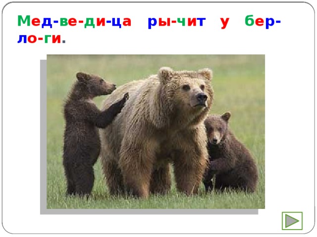 М е д- в е- д и -ц а р ы- ч и т у б е р-л о- г и . 