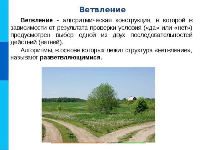 Ветвление Ветвление - алгоритмическая конструкция, в которой в зависимости от результата проверки условия («да» или «нет») предусмотрен выбор одной из двух последовательностей действий (ветвей). Алгоритмы, в основе которых лежит структура «ветвление», называют разветвляющимися. 