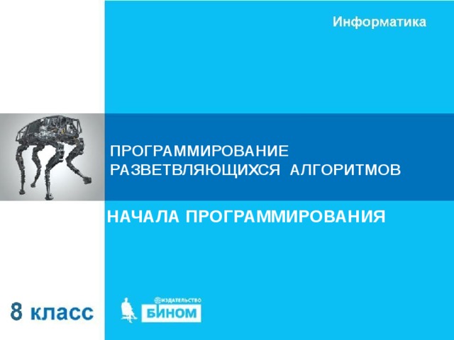 ПРОГРАММИРОВАНИЕ РАЗВЕТВЛЯЮЩИХСЯ АЛГОРИТМОВ НАЧАЛА ПРОГРАММИРОВАНИЯ 