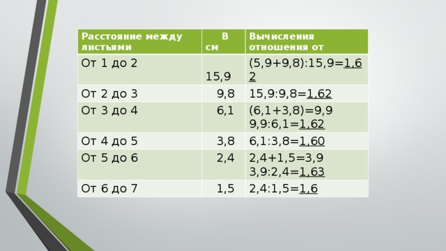 Расстояние между листьями  От 1 до 2      В см Вычисления отношения от    15,9  От 2 до 3  (5,9+9,8):15,9= 1,62    9,8 От 3 до 4 От 4 до 5  15,9:9,8= 1,62    6,1 От 5 до 6  (6,1+3,8)=9,9    3,8  6,1:3,8= 1,60 9,9:6,1= 1,62    2,4 От 6 до 7  2,4+1,5=3,9    1,5 3,9:2,4= 1,63 2,4:1,5= 1,6 