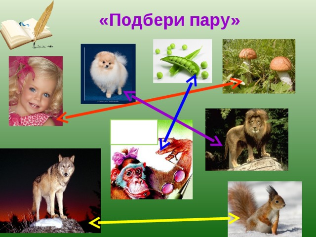«Подбери пару» 