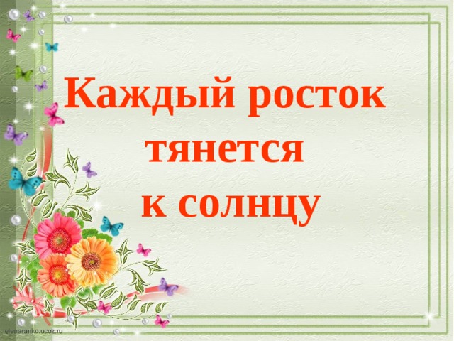 Каждый росток тянется к солнцу  