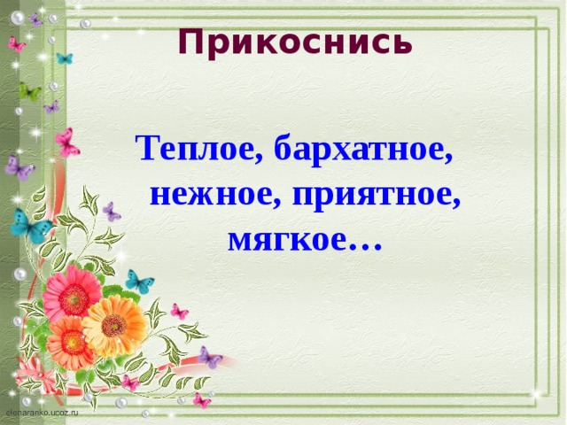 Прикоснись Теплое, бархатное, нежное, приятное, мягкое… 