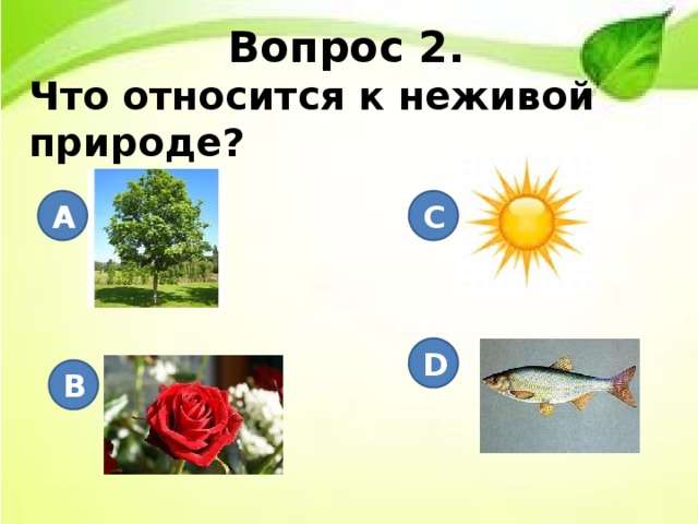 Вопрос 2. Что относится к неживой природе?       A C D B 