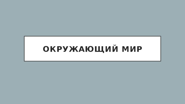 Окружающий мир 