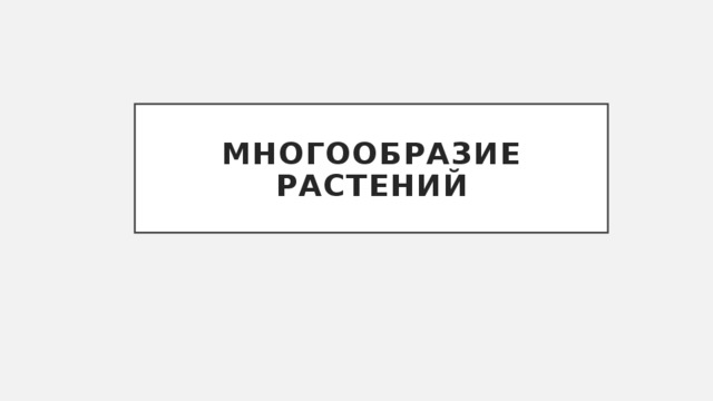 Многообразие растений 