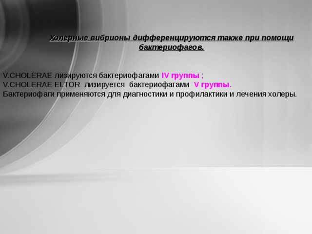 Холерные вибрионы дифференцируются также при помощи бактериофагов.   Холерные вибрионы дифференцируются также при помощи бактериофагов.   Холерные вибрионы дифференцируются также при помощи бактериофагов.   V.CHOLERAE лизируются бактериофагами IV группы ;  V.CHOLERAE ELTOR лизируется бактериофагами  V группы . Бактериофаги применяются для диагностики и профилактики и лечения холеры. 