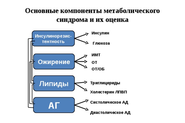 Основные компоненты метаболического синдрома и их оценка Инсулин Инсулинорезис- тентность Глюкоза ИМТ Ожирение ОТ ОТ/ОБ Липиды Триглицериды Холестерин ЛПВП АГ Систолическое АД Диастолическое АД 