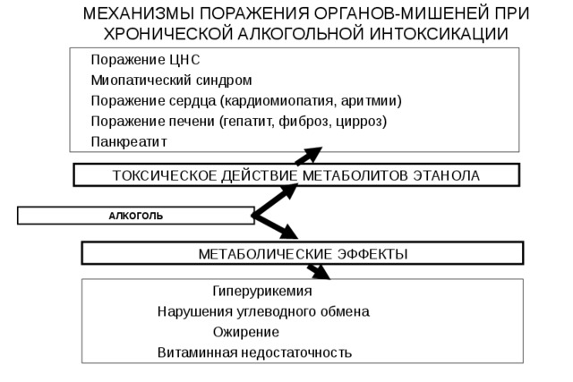 МЕХАНИЗМЫ ПОРАЖЕНИЯ ОРГАНОВ-МИШЕНЕЙ ПРИ ХРОНИЧЕСКОЙ АЛКОГОЛЬНОЙ ИНТОКСИКАЦИИ  Поражение ЦНС  Миопатический синдром  Поражение сердца (кардиомиопатия, аритмии)  Поражение печени (гепатит, фиброз, цирроз)  Панкреатит ТОКСИЧЕСКОЕ ДЕЙСТВИЕ МЕТАБОЛИТОВ ЭТАНОЛА АЛКОГОЛЬ МЕТАБОЛИЧЕСКИЕ ЭФФЕКТЫ  Гиперурикемия  Нарушения углеводного обмена  Ожирение  Витаминная недостаточность 25 