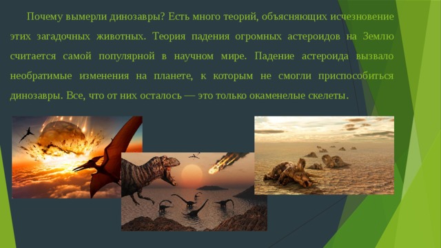 Почему вымерли динозавры? Есть много теорий, объясняющих исчезновение этих загадочных животных. Теория падения огромных астероидов на Землю считается самой популярной в научном мире. Падение астероида вызвало необратимые изменения на планете, к которым не смогли приспособиться динозавры. Все, что от них осталось — это только окаменелые скелеты . 