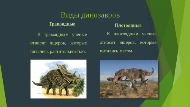 Виды динозавров Травоядные К травоядным ученые относят ящеров, которые питались растительностью. Плотоядные К плотоядным ученые относят ящеров, которые питались мясом. 