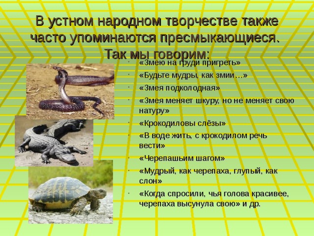 В устном народном творчестве также часто упоминаются пресмыкающиеся.  Так мы говорим: «Змею на груди пригреть» «Будьте мудры, как змии…» «Змея подколодная» «Змея меняет шкуру, но не меняет свою натуру» «Крокодиловы слёзы» «В воде жить, с крокодилом речь вести» «Черепашьим шагом» «Мудрый, как черепаха, глупый, как слон» «Когда спросили, чья голова красивее, черепаха высунула свою» и др. 