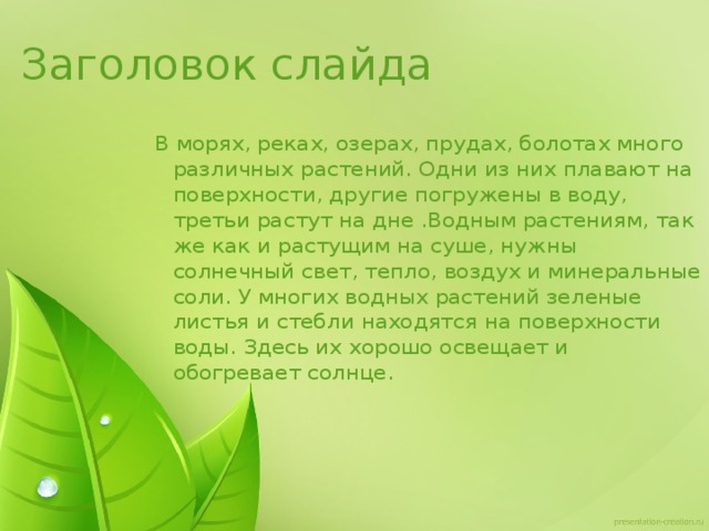 Заголовок слайда В морях, реках, озерах, прудах, болотах много различных растений. Одни из них плавают на поверхности, другие погружены в воду, третьи растут на дне .Водным растениям, так же как и растущим на суше, нужны солнечный свет, тепло, воздух и минеральные соли. У многих водных растений зеленые листья и стебли находятся на поверхности воды. Здесь их хорошо освещает и обогревает солнце. 