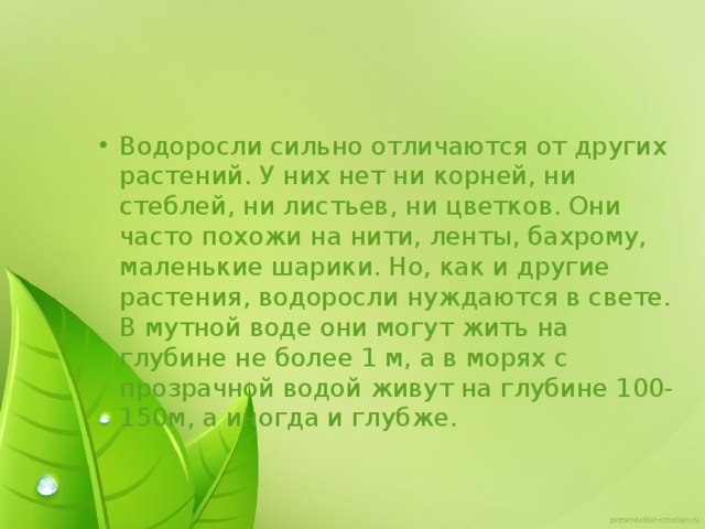 Водоросли сильно отличаются от других растений. У них нет ни корней, ни стеблей, ни листьев, ни цветков. Они часто похожи на нити, ленты, бахрому, маленькие шарики. Но, как и другие растения, водоросли нуждаются в свете. В мутной воде они могут жить на глубине не более 1 м, а в морях с прозрачной водой живут на глубине 100-150м, а иногда и глубже. 