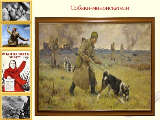  Собаки-миноискатели 