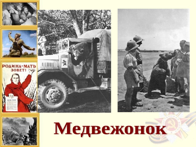 Во время Второй Мировой войны польская Армия Андерса нашла в Иране медвежонка, взяв его на довольствие и назвав Войтеком. Солдаты очень полюбили медведя, кормили его. Специальным приказом Войтек был зачислен в состав 22-й роты артиллерийского снабжения. Медведь дошёл с армией до Италии, где отличился в битве под Монте-Кассино, помогая разгружать боеприпасы и поднося снаряды к орудиям   