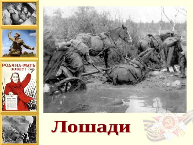 Лошади тоже приближали Победу, хотя их вклад на первый взгляд был не так заметен. Конь бежит со средней скоростью не более 20 км в час и может преодолеть не более 100 км за сутки, но он может пройти там, где не пройдёт никакая техника – и сделает это незаметно. Число лошадей было огромно: около трех миллионов. Ведь в тогдашней армии лошади были не только в кавалерии: шли по военным дорогам бесчисленные обозы, на лошадях перевозились пушки и многое другое. Лошадь практически была основной тягловой силой. Штатная численность лошадей в Красной Армии составляла 1,9 миллиона, а это значит, что за годы войны было потеряно более миллиона лошадей. Впрочем, потери среди конского состава были бы несравненно больше, если бы не четко организованная ветеринарная служба, действовавшая на фронте. Подавляющее большинство раненых и заболевших лошадей возвращалось в строй после лечения. 
