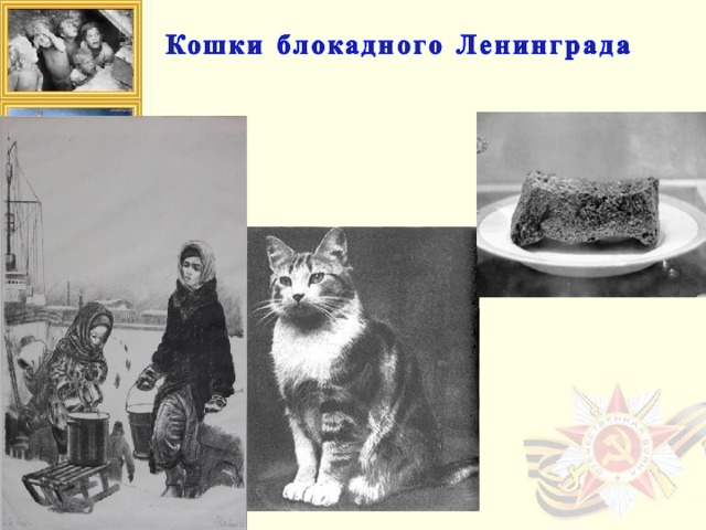 Необходимость в годы войны в кошках была велика — в Ленинграде их практически не осталось, крысы атаковали и без того скудные запасы продуктов. В Ленинград привезли четыре вагона дымчатых кошек. Эшелон с «мяукающей дивизией», как прозвали питерцы этих кошек, надежно охранялся. Кошки стали очищать город от грызунов. К моменту прорыва блокады, практически все подвалы были освобождены от крыс.  О возможно, единственном выжившем в блокаду коте – Максиме – ходили легенды. В дом его хозяев в послевоенное время водили целые экскурсии – все хотели посмотреть на это чудо. Умер Максим от старости в 1957 году. Не осталось во время этой чудовищной войны никакого следа от целой обширной популяции немецких карликовых кошек – кенгуровых… Порода была истреблена вся подчистую… Для кошек, спасших наибольшее количество человеческих жизней во время военного времени, была учреждена специальная медаль «Мы тоже служим родине». Эта награда считается одной из самых почётных в зверином мире.   