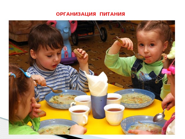  ОРГАНИЗАЦИЯ ПИТАНИЯ 