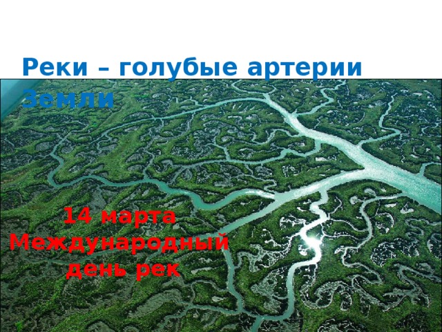 Реки – голубые артерии Зе мли 14 марта  Международный  день рек 