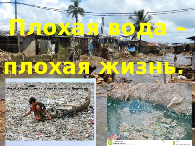 Плохая вода – плохая жизнь. 