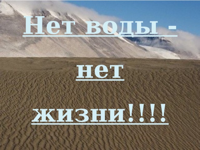 Нет воды - нет жизни!!!! 