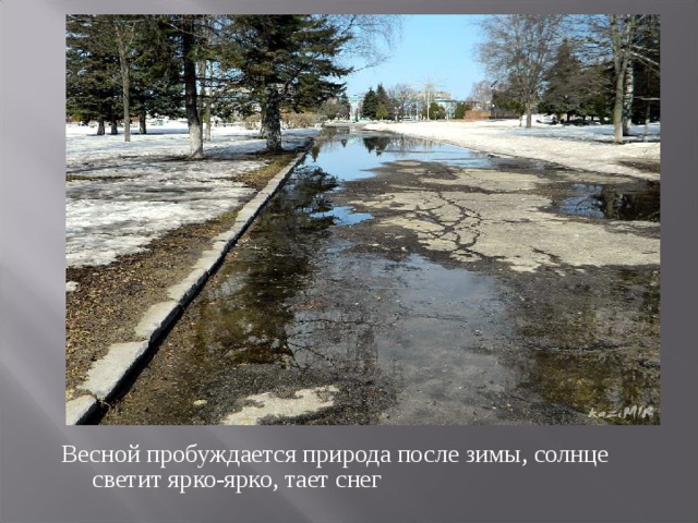 Весной пробуждается природа после зимы, солнце светит ярко-ярко, тает снег 