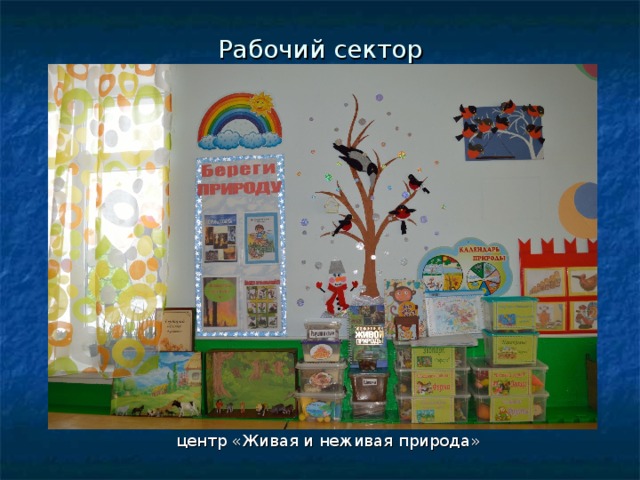 Рабочий сектор центр «Живая и неживая природа» 