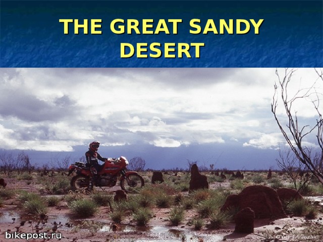 THE GREAT SANDY DESERT 