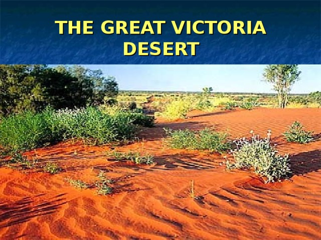 THE GREAT VICTORIA DESERT 