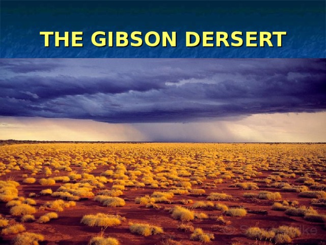 THE GIBSON DERSERT 