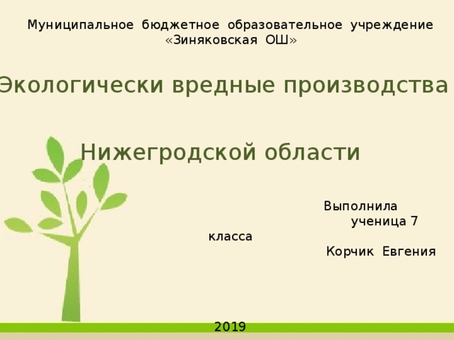 Муниципальное бюджетное образовательное учреждение «Зиняковская ОШ»    Выполнила  ученица 7 класса  Корчик Евгения 2019 Экологически вредные производства Нижегродской области 