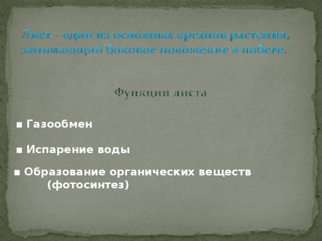 ▪ Газообмен ▪ Испарение воды ▪ Образование органических веществ  (фотосинтез) 