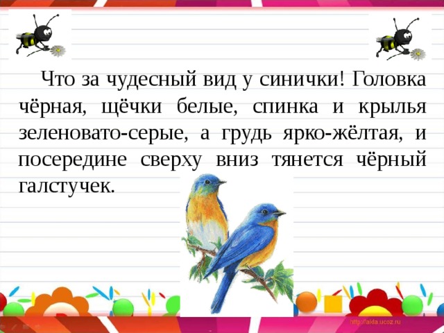 Что за чудесный вид у синички! Головка чёрная, щёчки белые, спинка и крылья зеленовато-серые, а грудь ярко-жёлтая, и посередине сверху вниз тянется чёрный галстучек. 