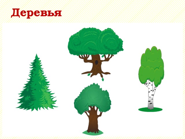 Деревья 