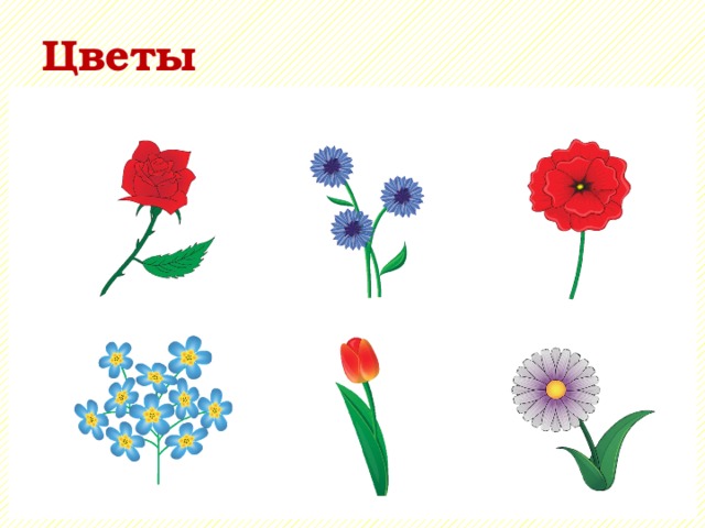 Цветы 
