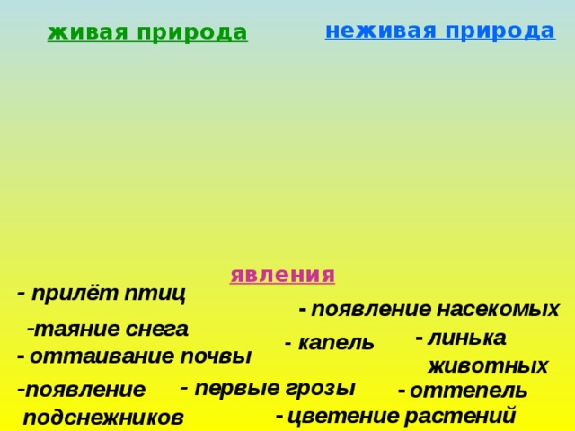 неживая природа живая природа явления - прилёт птиц -  появление насекомых - таяние снега -  линька  животных - капель -  оттаивание почвы - первые грозы - появление  подснежников -  оттепель -  цветение растений 