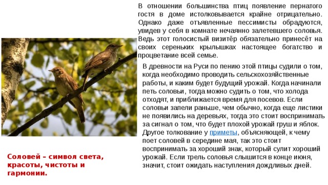 В отношении большинства птиц появление пернатого гостя в доме истолковывается крайне отрицательно. Однако даже отъявленные пессимисты обрадуются, увидев у себя в комнате нечаянно залетевшего соловья. Ведь этот голосистый визитёр обязательно принесёт на своих сереньких крылышках настоящее богатство и процветание всей семье. В древности на Руси по пению этой птицы судили о том, когда необходимо проводить сельскохозяйственные работы, и каким будет будущий урожай. Когда начинали петь соловьи, тогда можно судить о том, что холода отходят, и приближается время для посевов. Если соловьи запели раньше, чем обычно, когда еще листики не появились на деревьях, тогда это стоит воспринимать за сигнал о том, что будет плохой урожай груш и яблок. Другое толкование у  приметы , объясняющей, к чему поет соловей в середине мая, так это стоит воспринимать за хороший знак, который сулит хороший урожай. Если трель соловья слышится в конце июня, значит, стоит ожидать наступления дождливых дней.   Соловей – символ света, красоты, чистоты и гармонии.   
