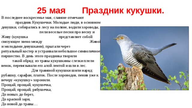 25 мая Праздник кукушки. В последнее воскресенье мая, славяне отмечают праздник Кукушечки. Молодые люди, в основном девушки, собирались в лесу на поляне, водили хороводы, пели веселые песни про весну и Живу (кукушка представляет собой связующее звено между Живой и молодыми девушками), прыгали через ритуальный костер и устраивали небольшое символичное пиршество. В день этого праздника творили такой обряд: из травы кукушкины слезки плели венок, перевязывали его алой лентой и шли в лес. Для травяной кукушки шили наряд: рубашку, сарафан, платок. После хороводов, пения уже к вечеру «кукушку» хоронили. Прощай, прощай, кукушечка,  Прощай, прощай, рябушечка,   До новых до берез,  До красной зари,  До новой до травы… 