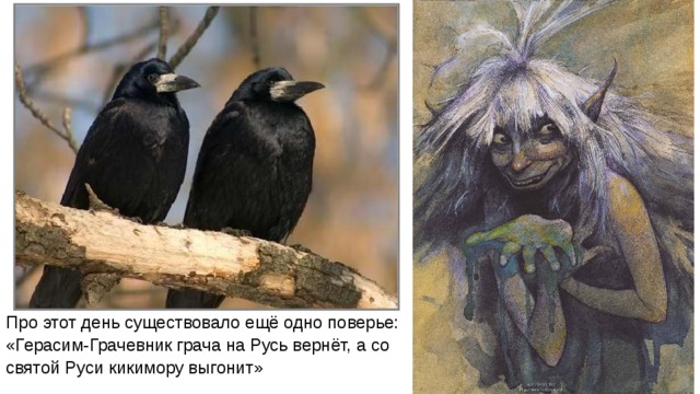 Про этот день существовало ещё одно поверье: «Герасим-Грачевник грача на Русь вернёт, а со святой Руси кикимору выгонит» 