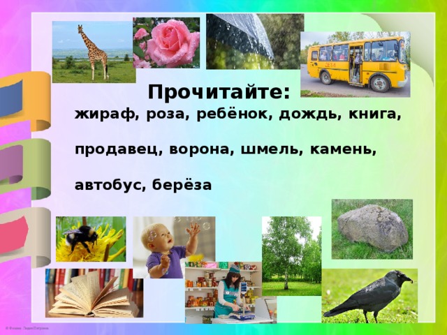 Прочитайте: жираф, роза, ребёнок, дождь, книга, продавец, ворона, шмель, камень, автобус, берёза 